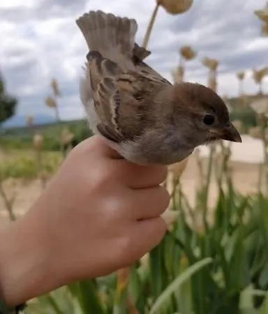 Σπίτι διακοπών El Telar Arte Y Naturaleza *