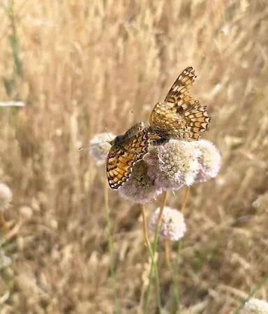 Σπίτι διακοπών El Telar Arte Y Naturaleza *