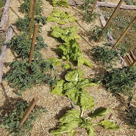 El Telar Arte Y Naturaleza Σπίτι διακοπών Prádena